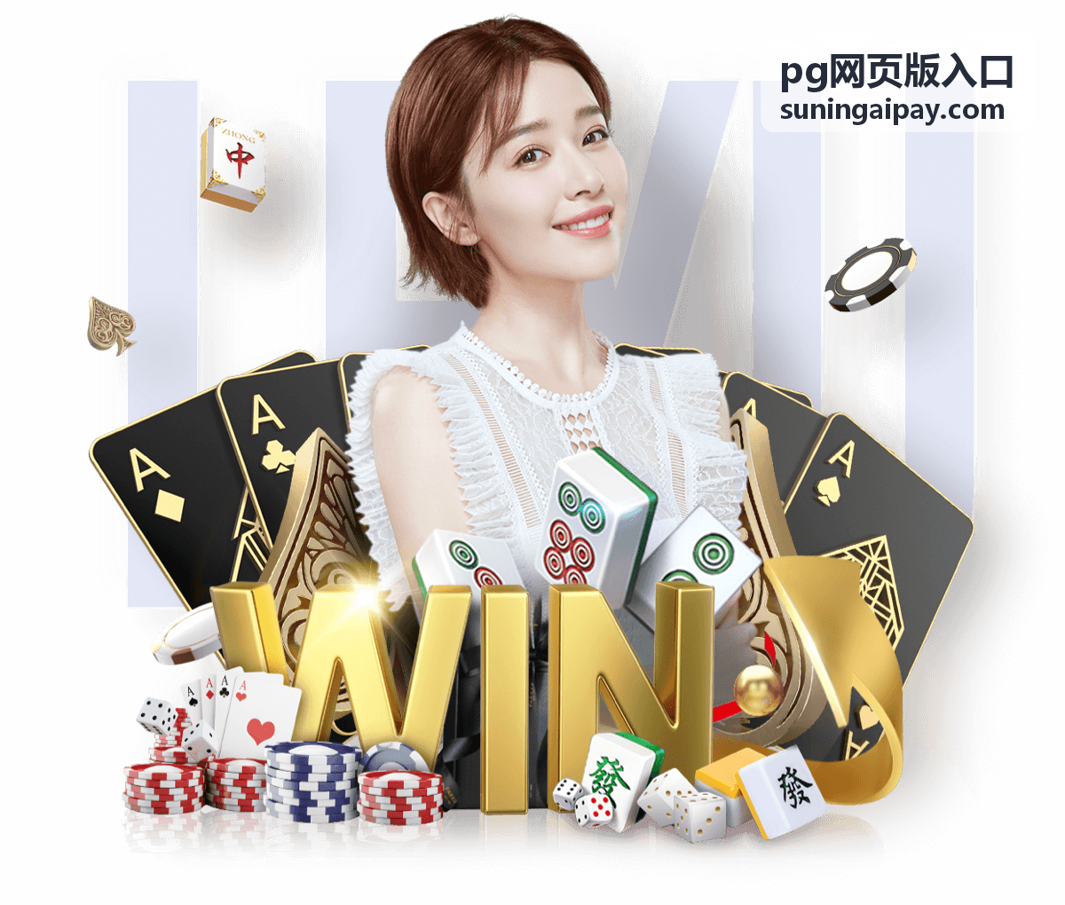 pg网页版入口使用流程指引