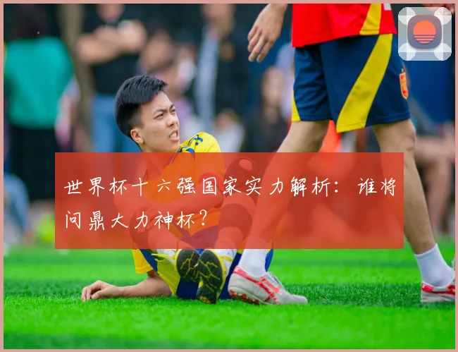 世界杯十六强国家实力解析：谁将问鼎大力神杯？